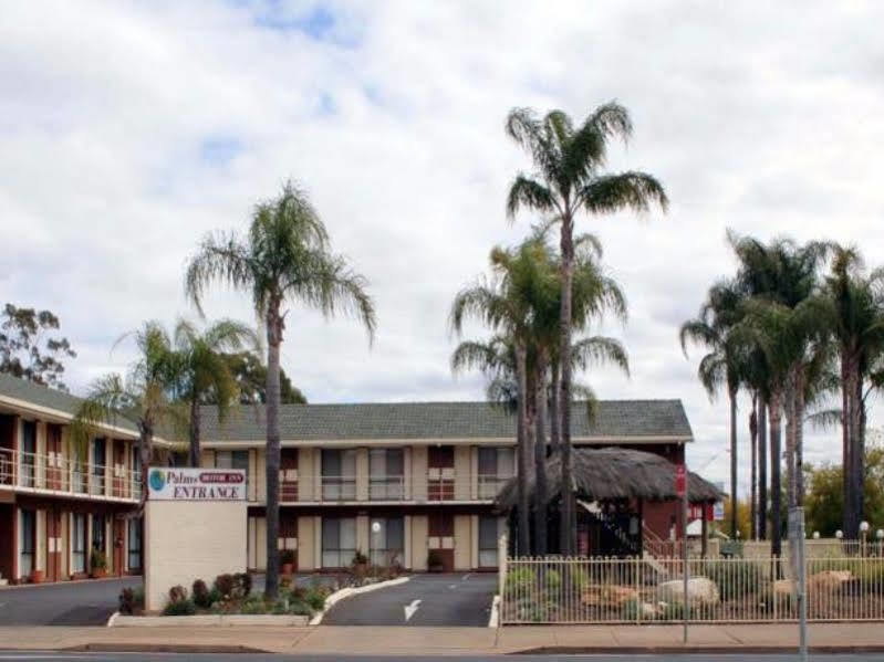 Motel The Palms Dubbo Esterno foto